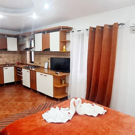 Pensiunea Red Rose Apartments Timisoara Bagian luar foto