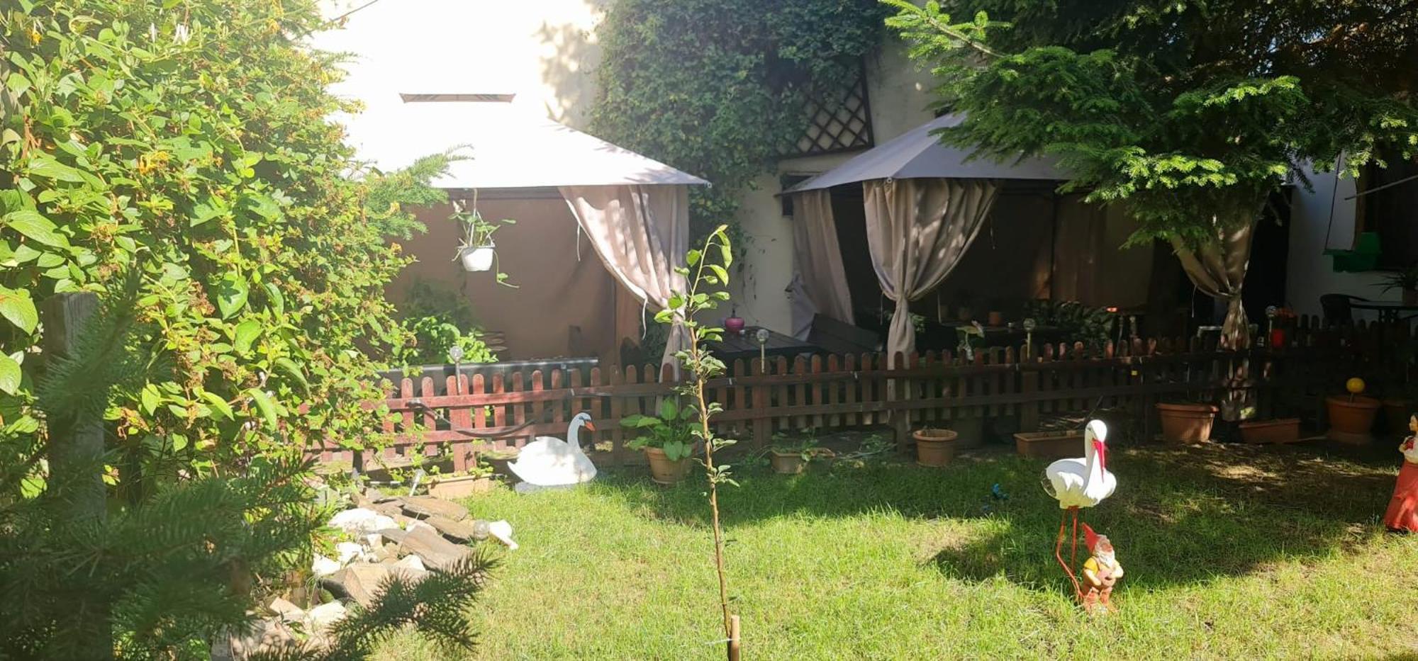 Pensiunea Red Rose Apartments Timisoara Bagian luar foto