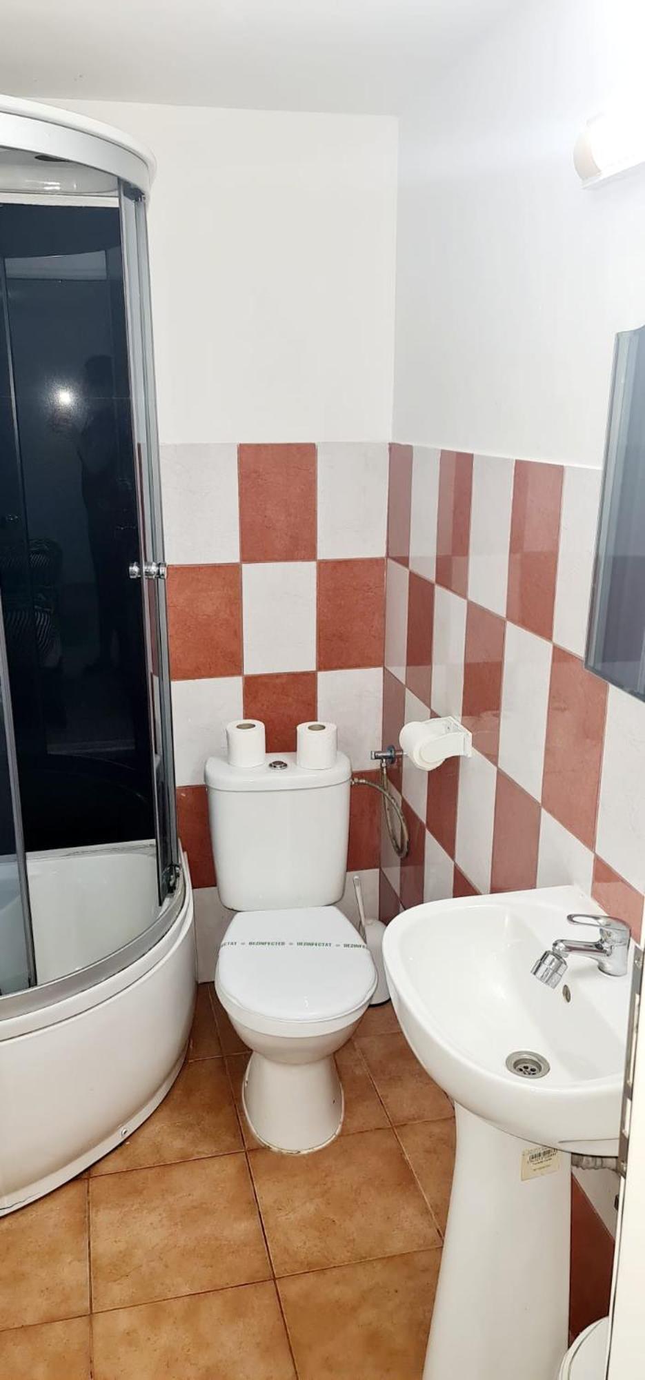 Pensiunea Red Rose Apartments Timisoara Bagian luar foto
