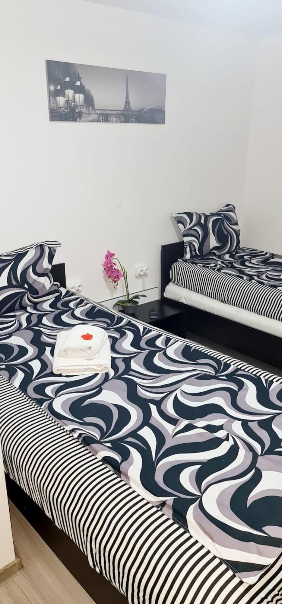Pensiunea Red Rose Apartments Timisoara Bagian luar foto
