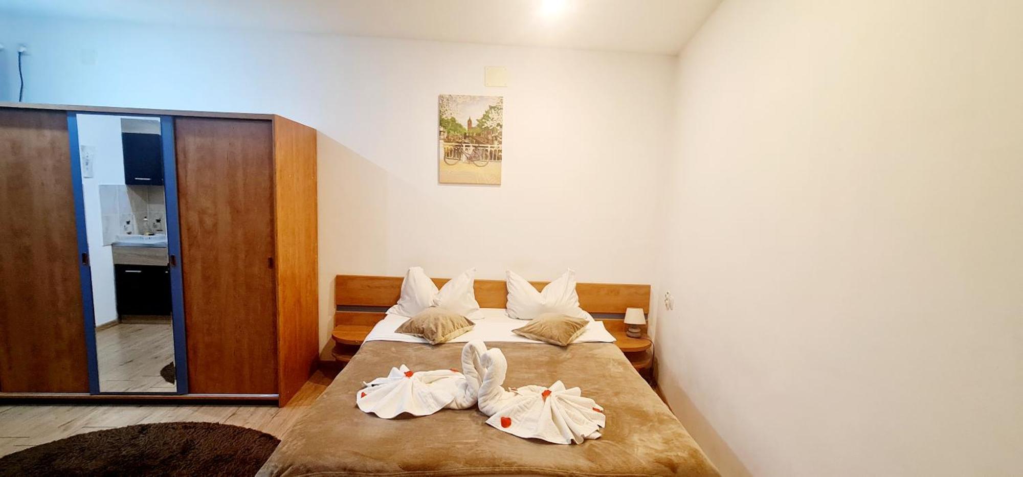 Pensiunea Red Rose Apartments Timisoara Ruang foto