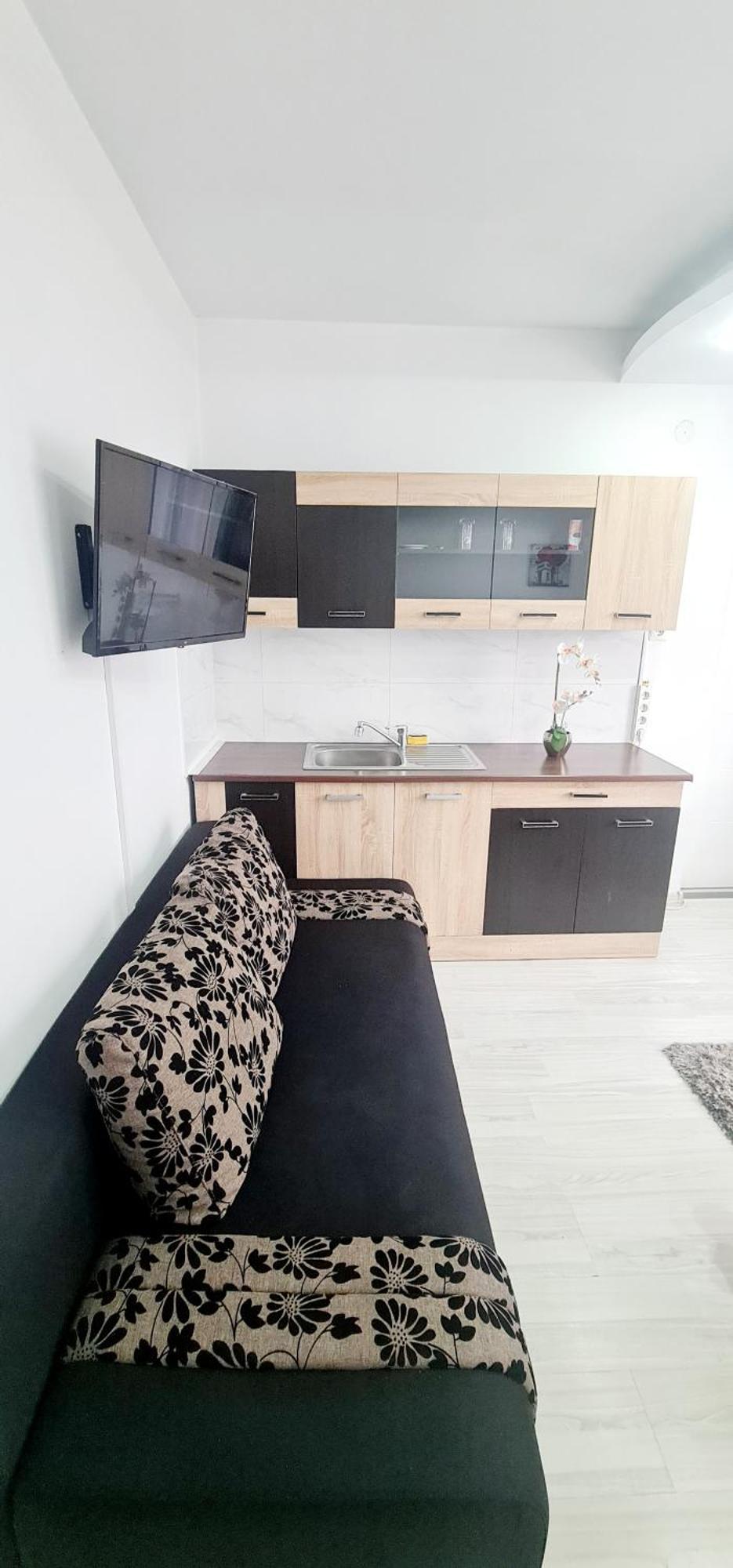 Pensiunea Red Rose Apartments Timisoara Bagian luar foto
