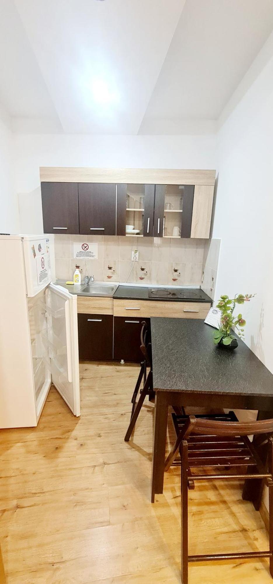 Pensiunea Red Rose Apartments Timisoara Bagian luar foto
