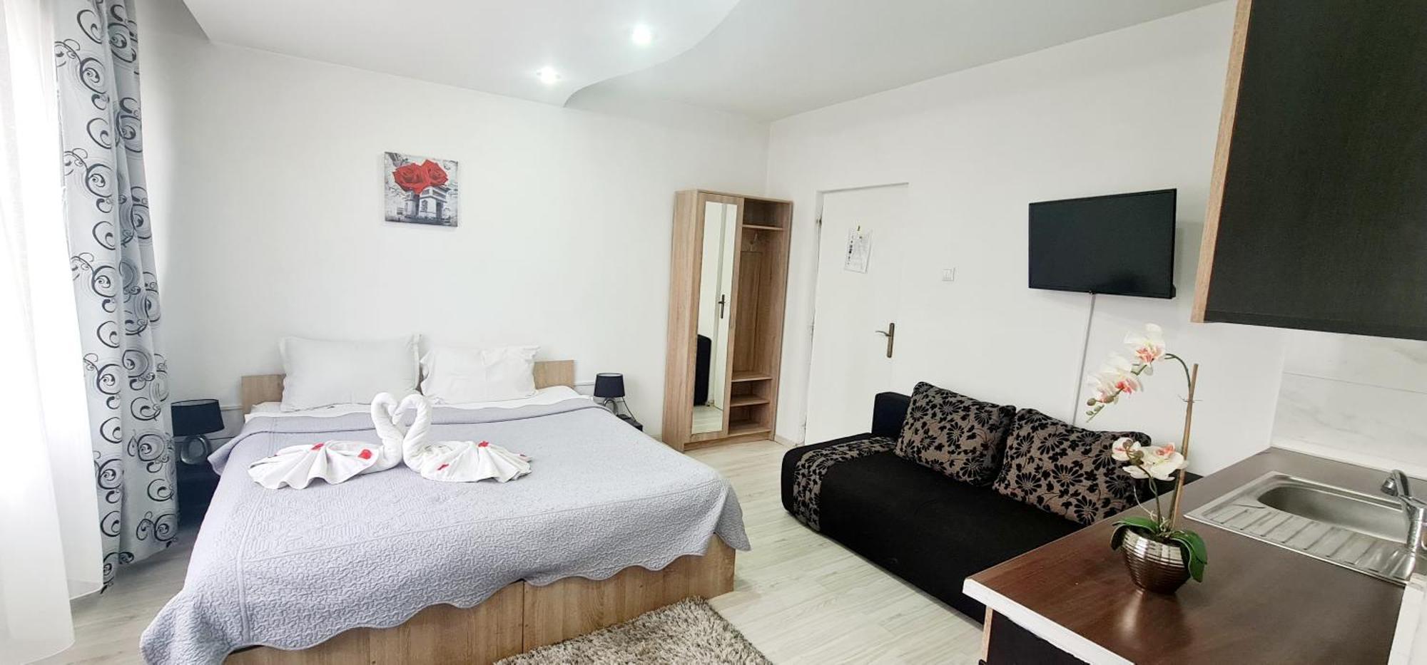 Pensiunea Red Rose Apartments Timisoara Bagian luar foto
