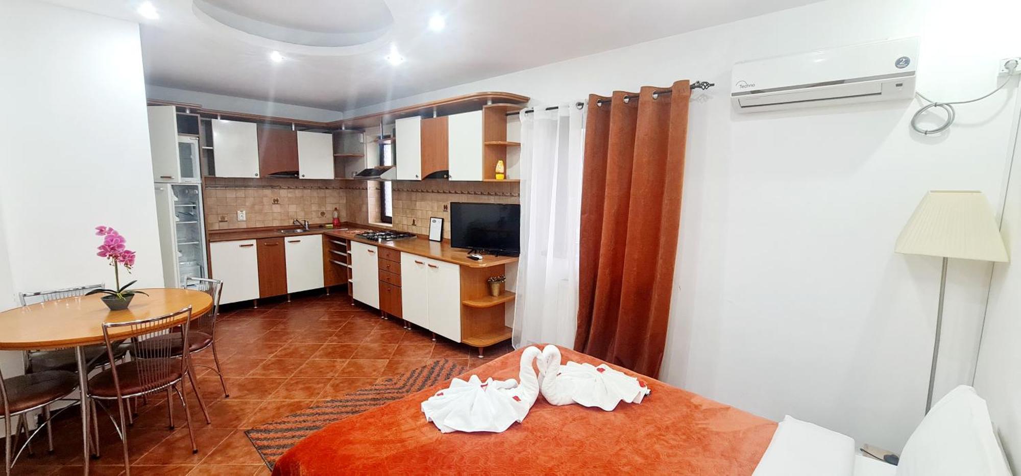 Pensiunea Red Rose Apartments Timisoara Bagian luar foto