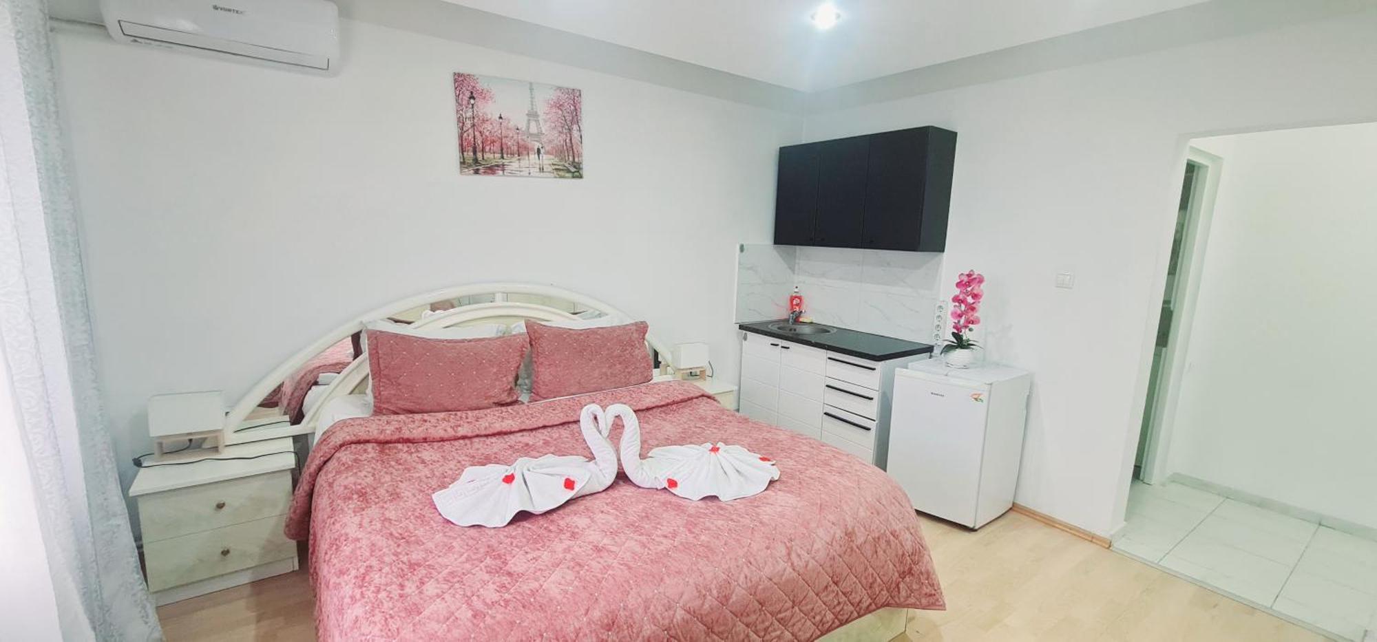 Pensiunea Red Rose Apartments Timisoara Bagian luar foto