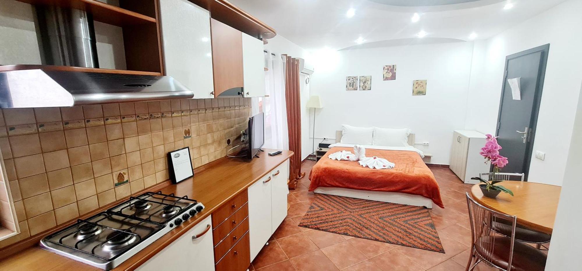 Pensiunea Red Rose Apartments Timisoara Bagian luar foto