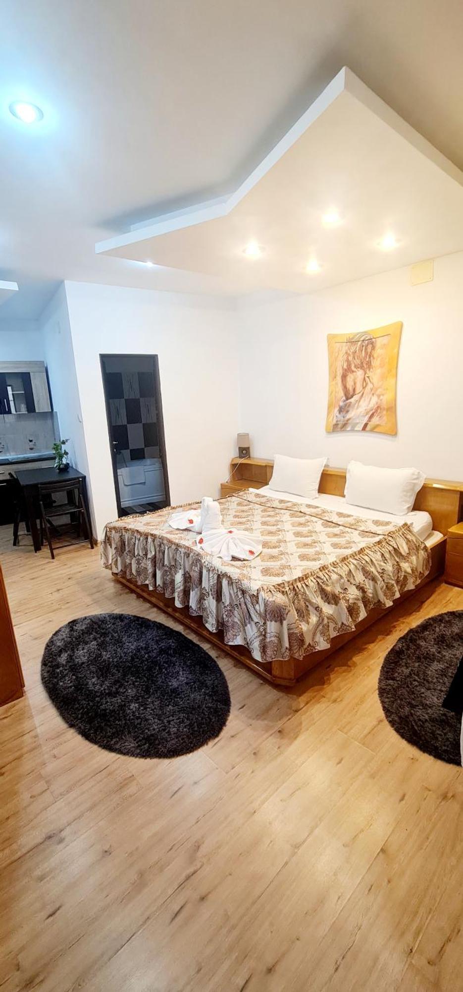 Pensiunea Red Rose Apartments Timisoara Bagian luar foto