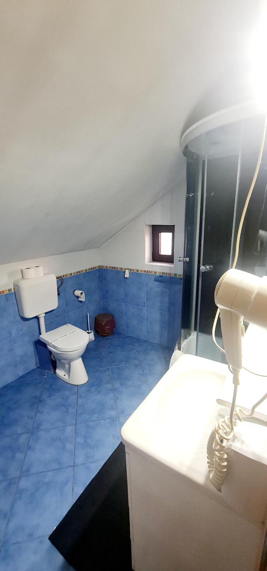 Pensiunea Red Rose Apartments Timisoara Bagian luar foto